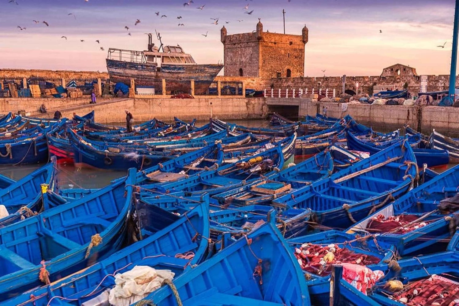 Von Marrakesch: Tagestour in kleiner Gruppe nach Essaouira und Sekkala