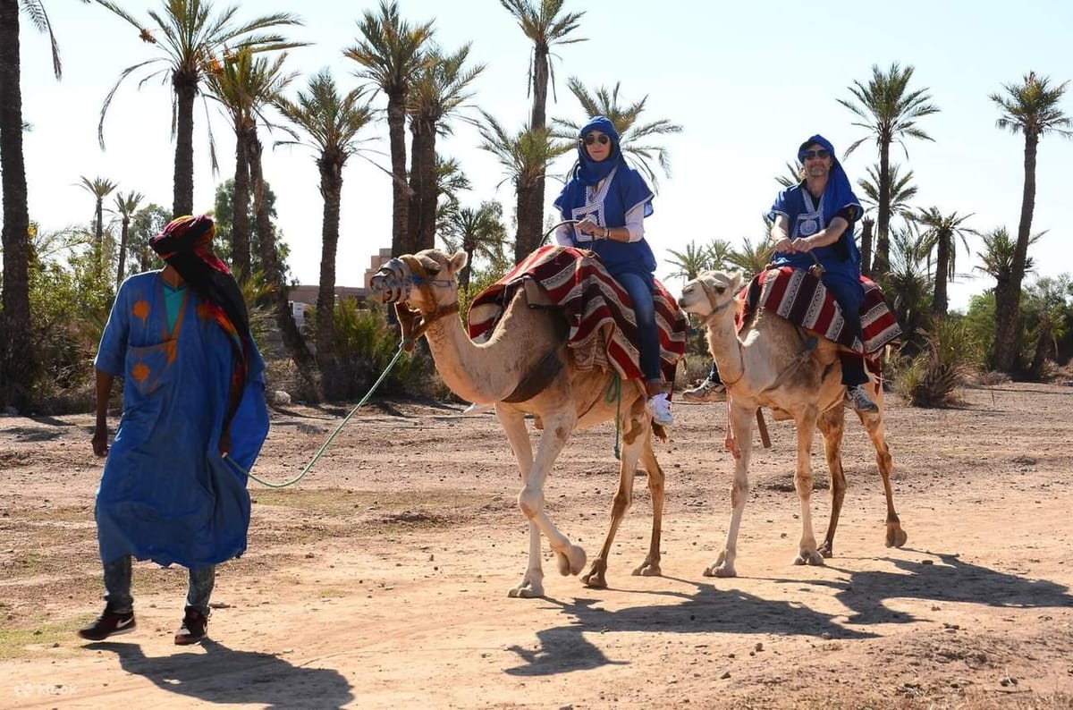 Marrakesch: 1-stündiger Kamelritt durch den Palmenhain — photo 2 of 12