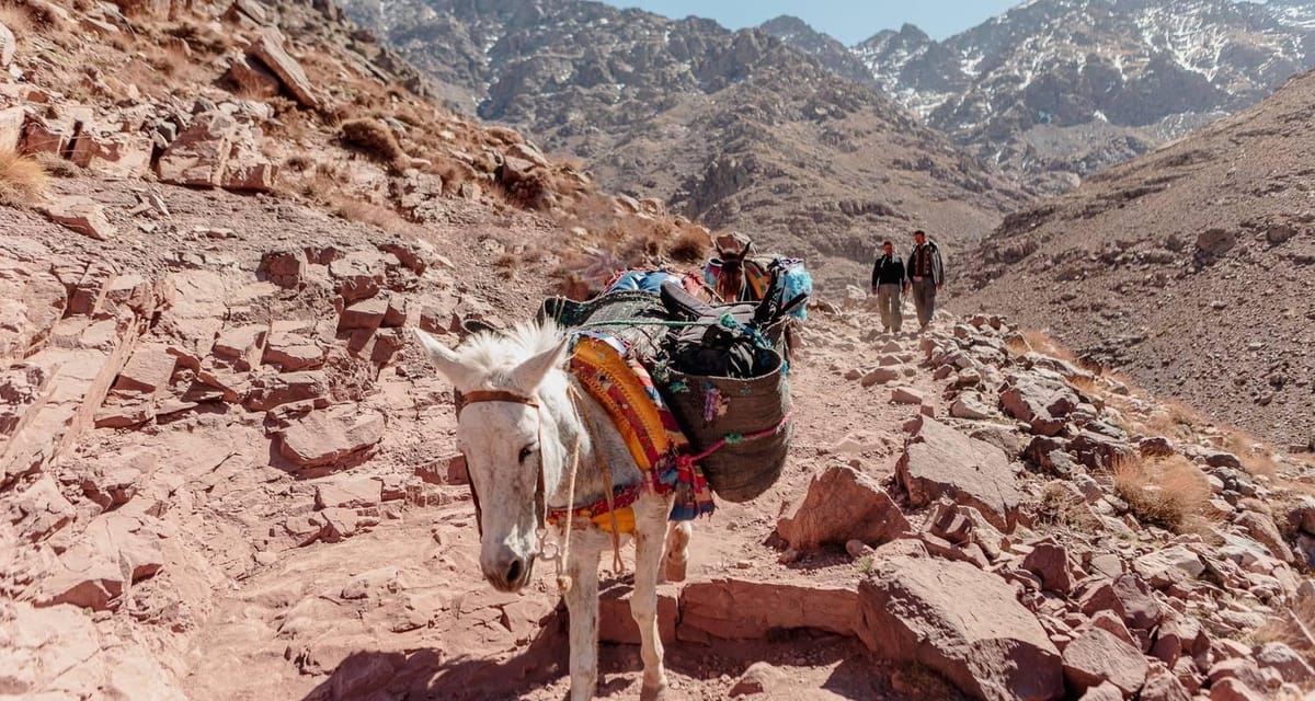 Ab Marrakesch: Atlasgebirge & Imlil – Tagestour mit Maultierritt — photo 2 of 15