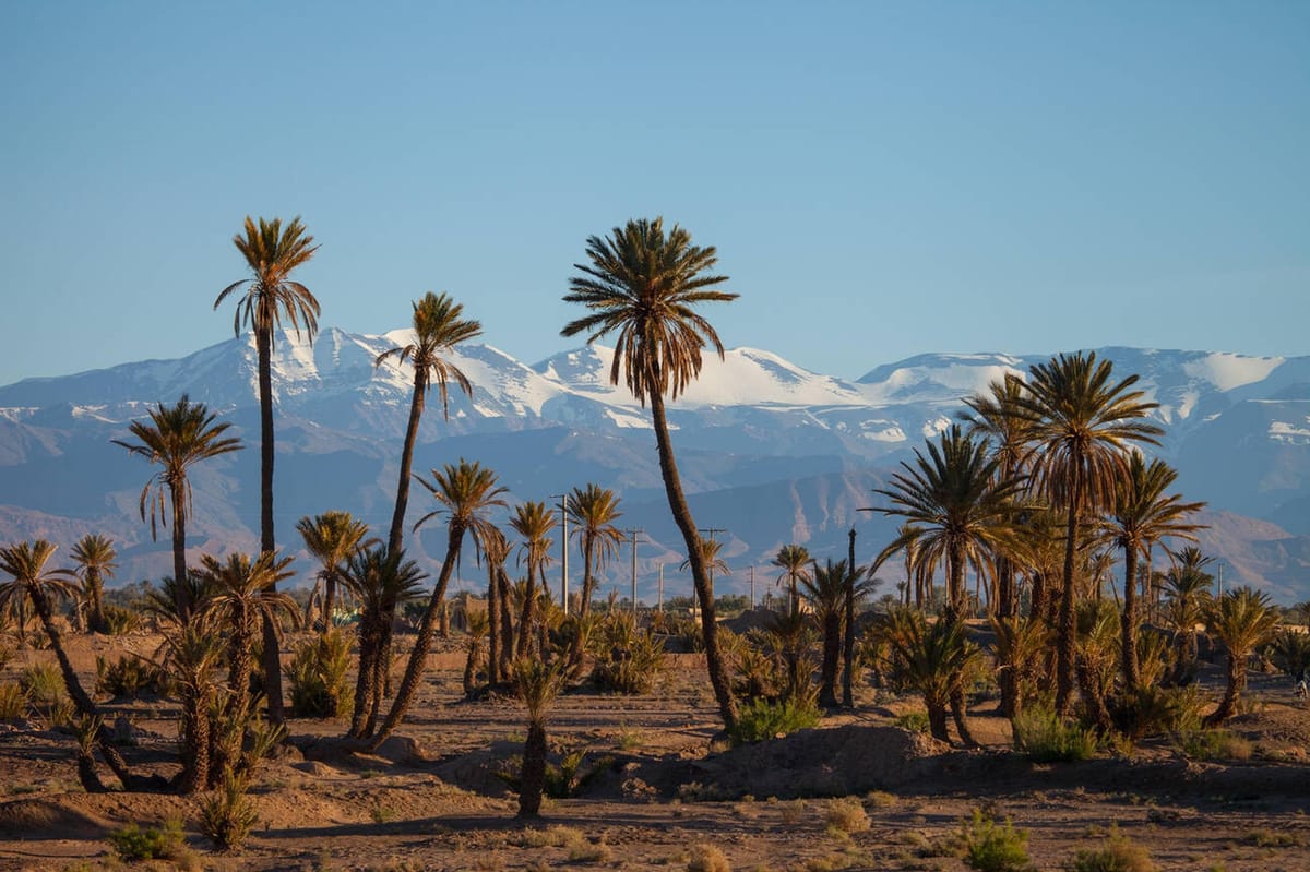 Marrakech: 2-tägige Tour zu den Dades-Schluchten und dem Tal der Rosen — photo 2 of 7