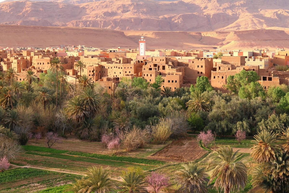 3-tägige private Tour von Marrakesch nach Fes über die Wüste Merzouga — photo 2 of 15