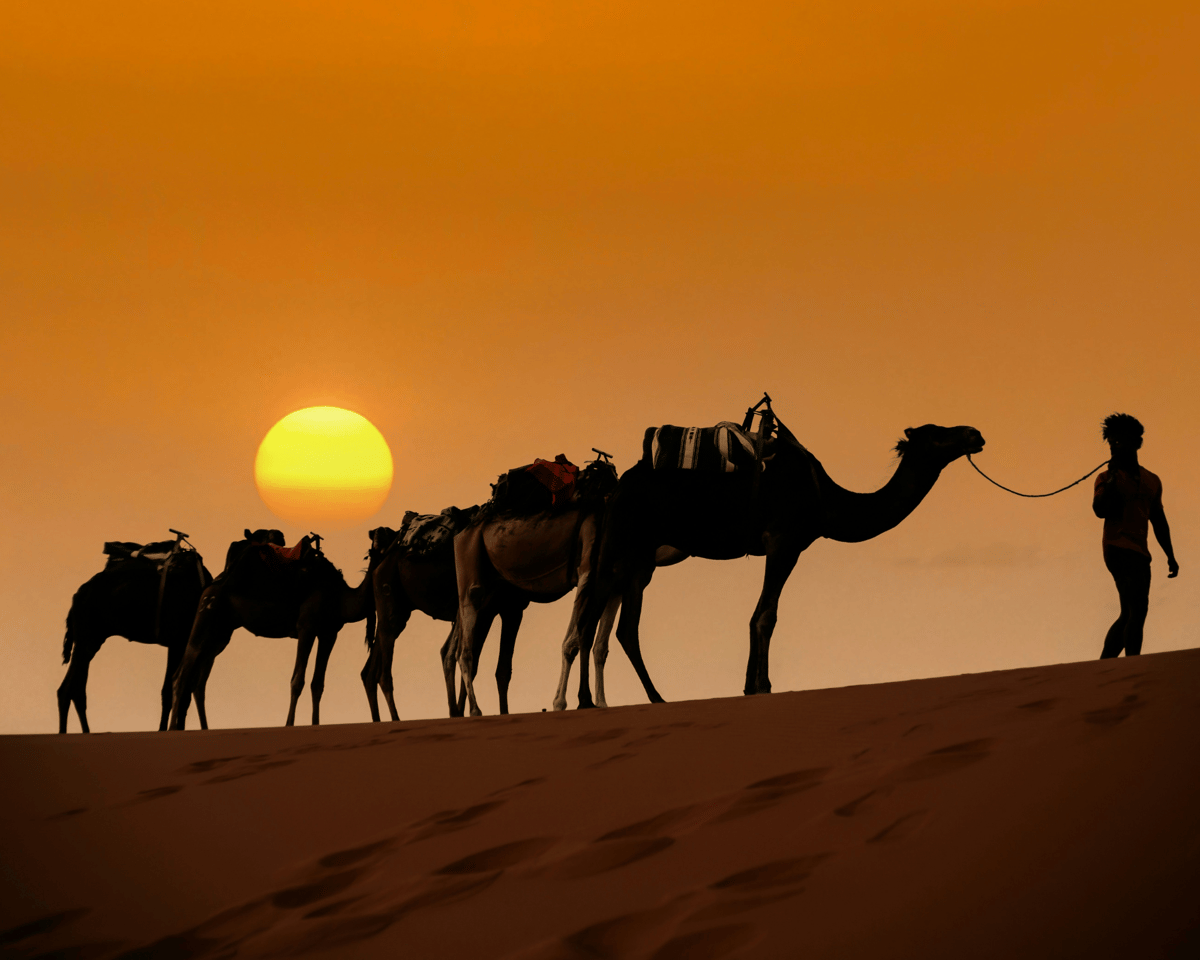 3-Tages-Merzouga-Wüstensafari von Marrakesch mit Verpflegung — photo 2 of 15