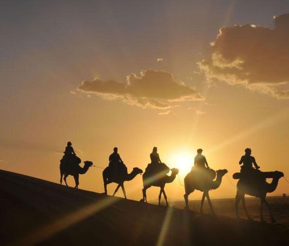 Marrakesh: kamelenrit door de Agafay-woestijn, diner en show — photo 1 of 6