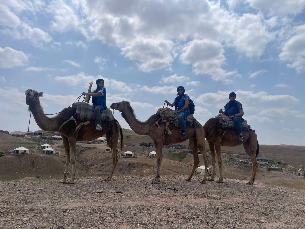 Marrakech: Atlasgebirge, Agafay-Wüste, Mittagessen, Kamelritt — photo 2 of 8