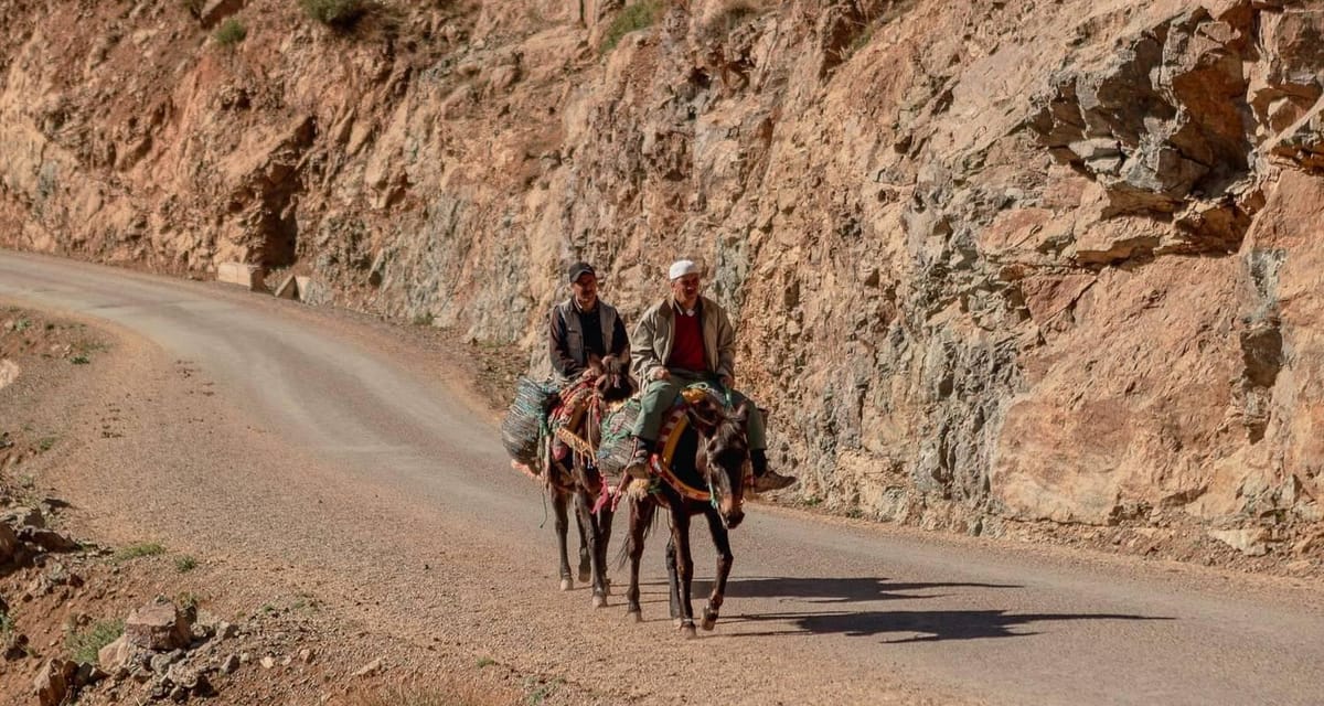 Marrakech: Monti dell'Atlante e 5 Valli: tour privato — photo 2 of 15