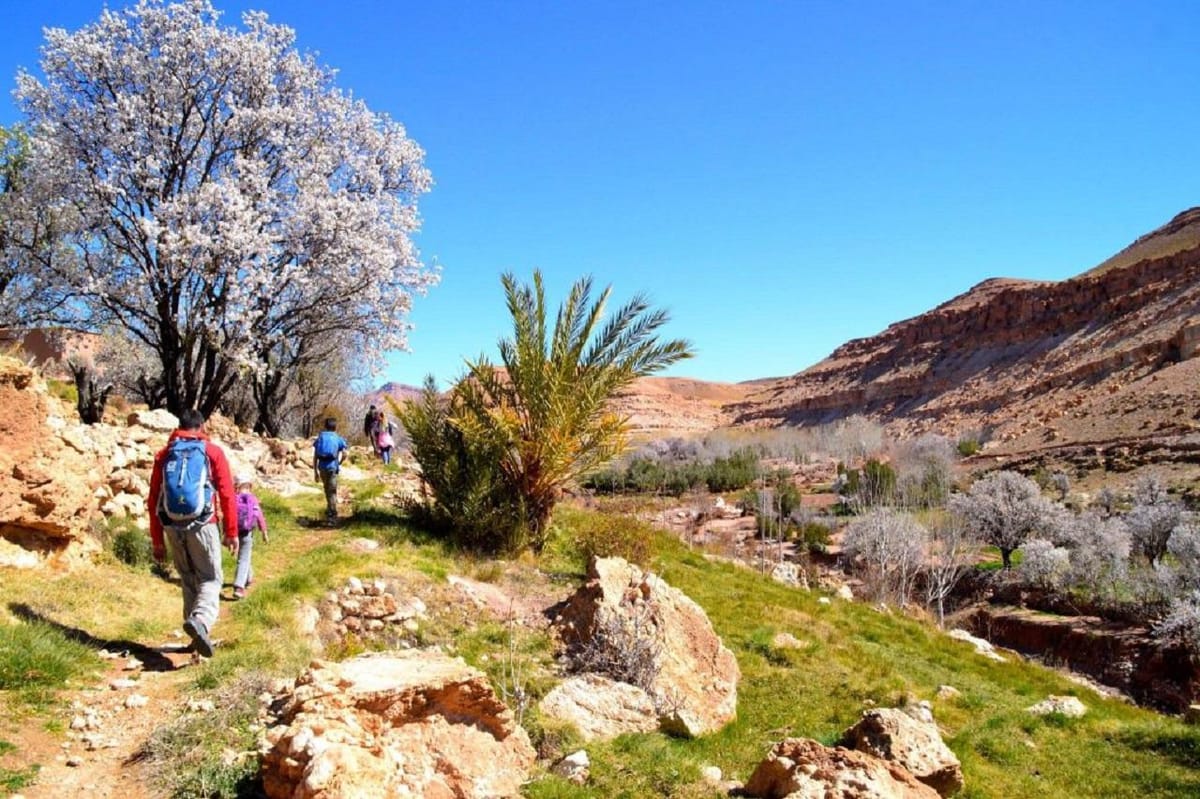 Dagstur fra Marrakech til Atlasfjellene og Imlil — photo 2 of 11
