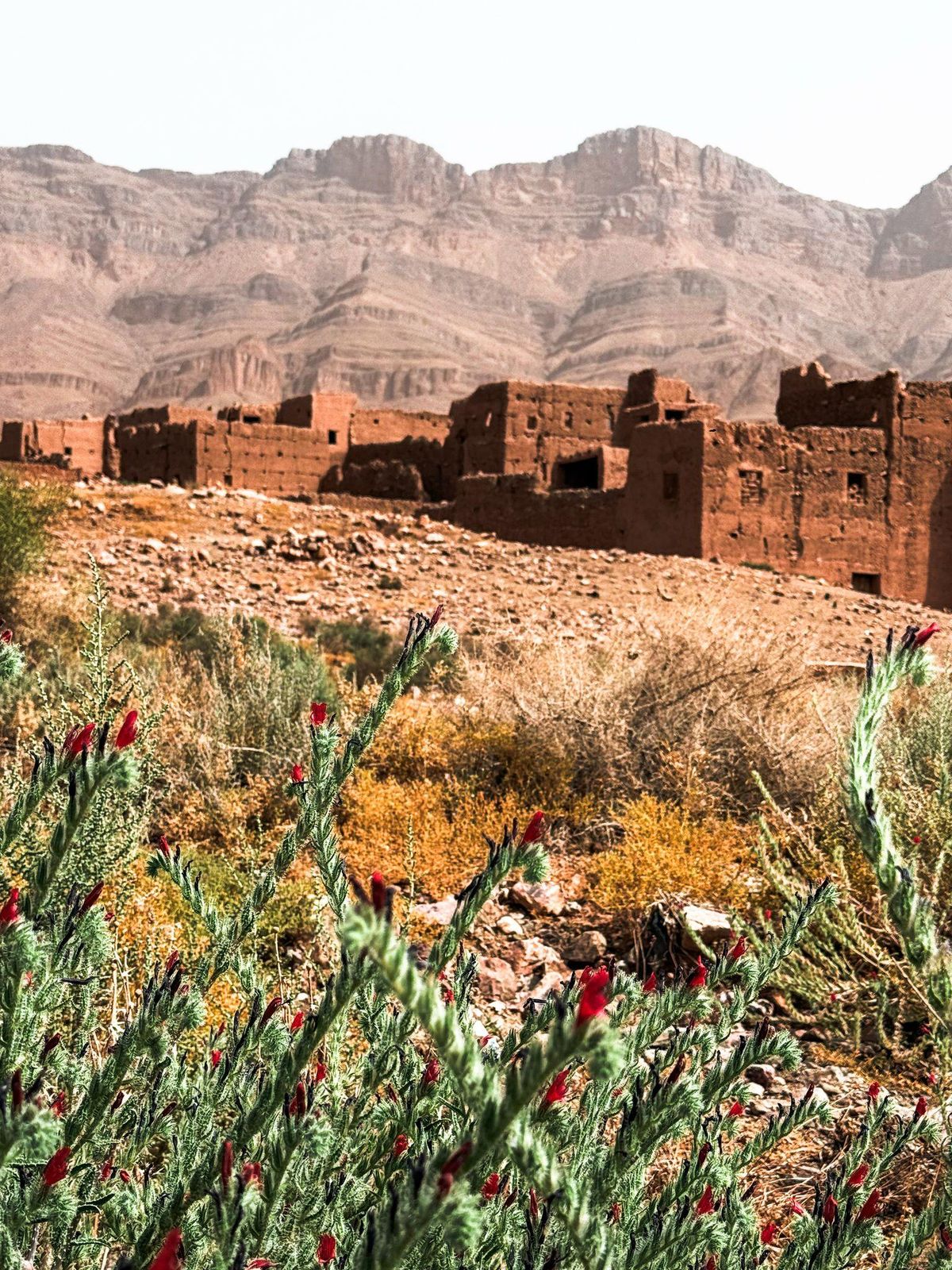 Tagestour von Ouarzazate ins Draa-Tal & zu den Tinfou-Dünen — photo 2 of 4