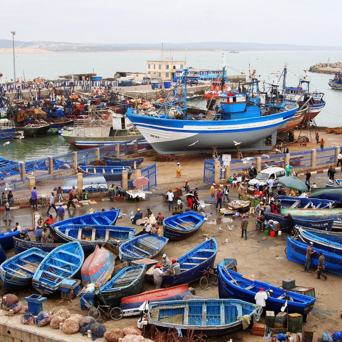 Tagestour nach Essaouira von Marrakesch aus mit Guide — photo 2 of 15