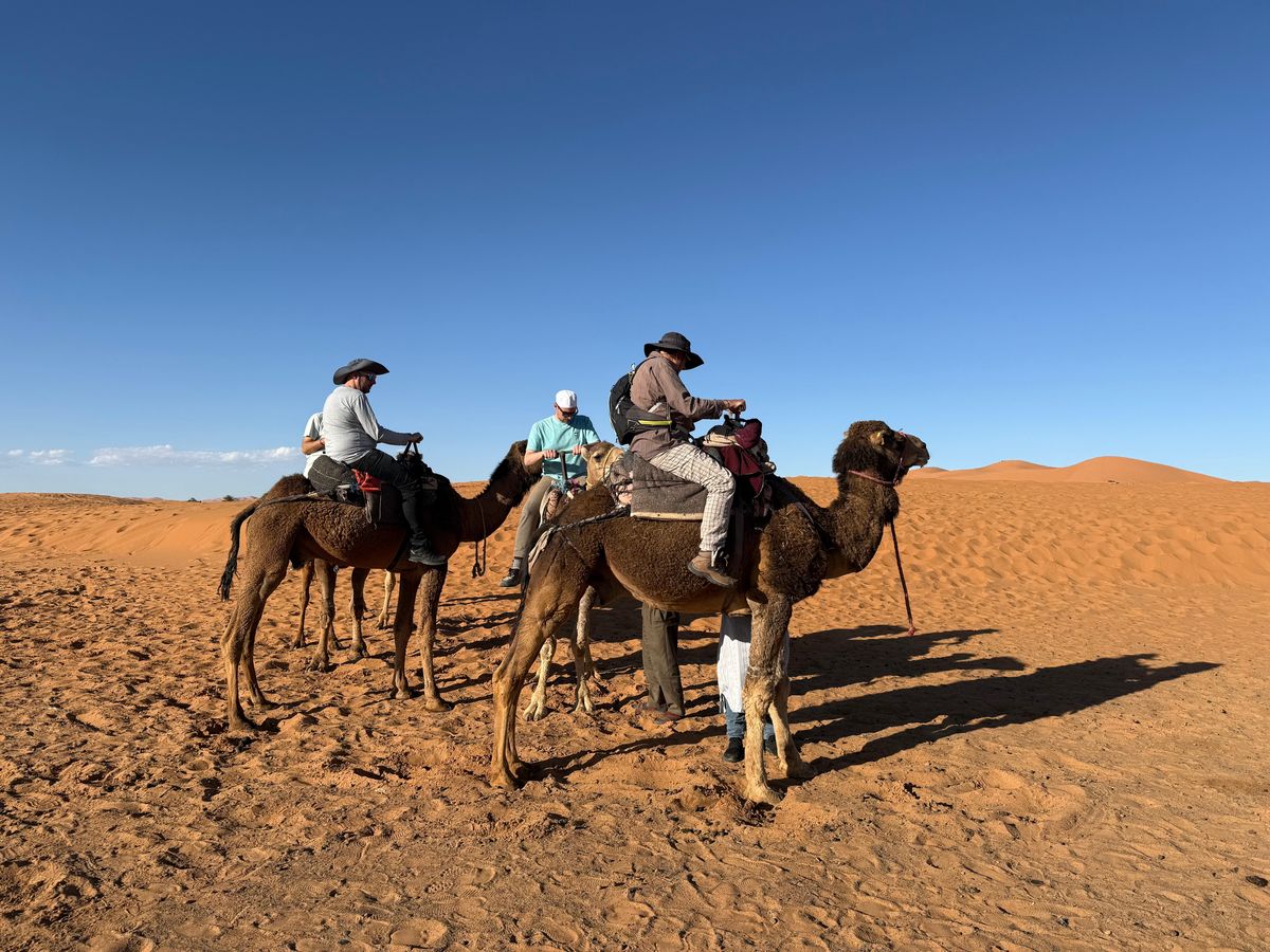 Erfoud: Sahara – Kamelreiten, Abendessen und Musik-Tour — photo 1 of 6