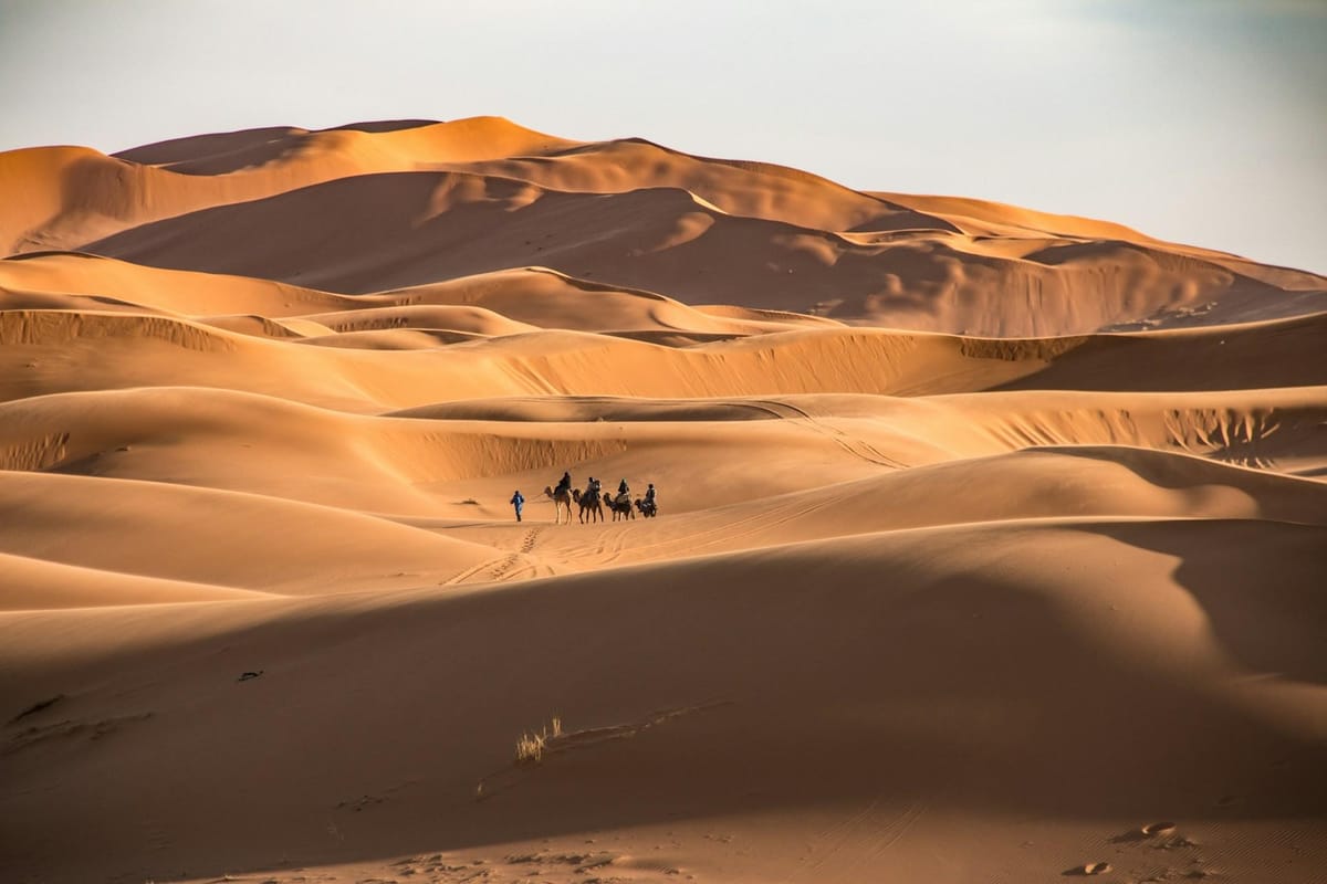 Errachidia: Kamelritt mit Übernachtung im Camp in der Merzouga-Wüste — photo 2 of 8