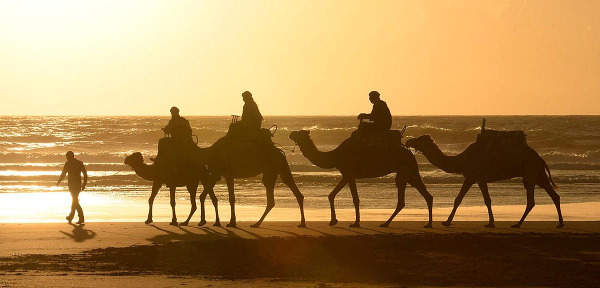 Essaouira: 2-stündiger Kamelritt am Strand und in den Dünen — photo 1 of 15
