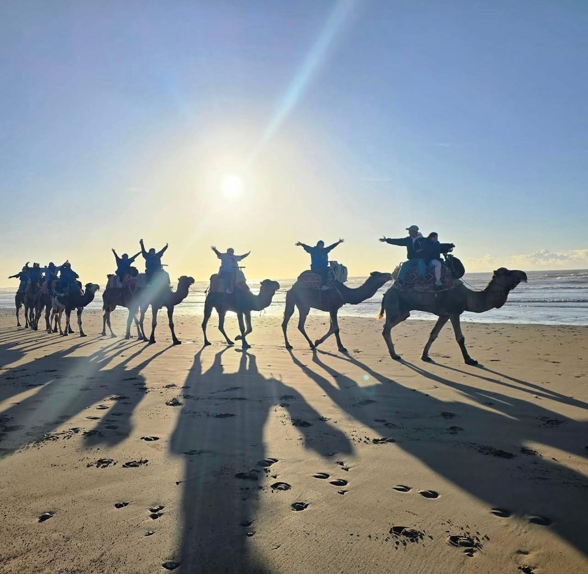Essaouira: Tre timmars kamelridning med tepaus — photo 2 of 4