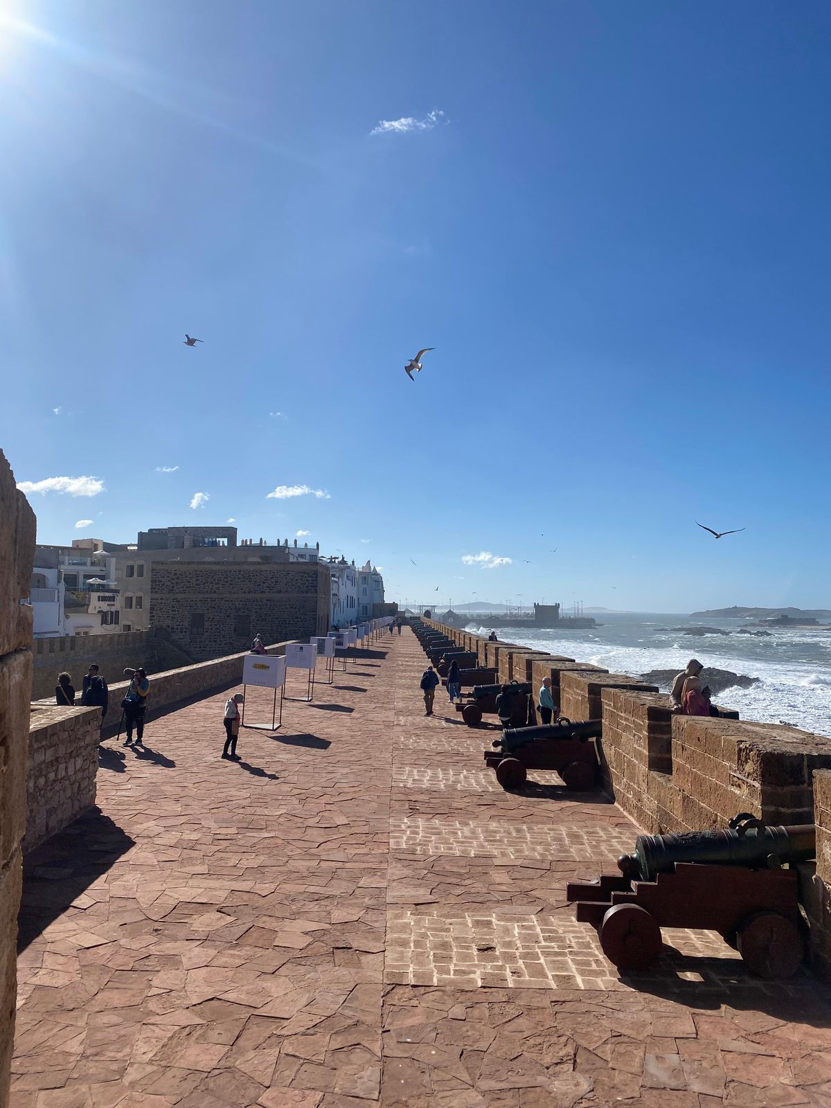 Gita di 1 giorno a Essaouira e al suo centro storico da Marrakech — photo 2 of 15