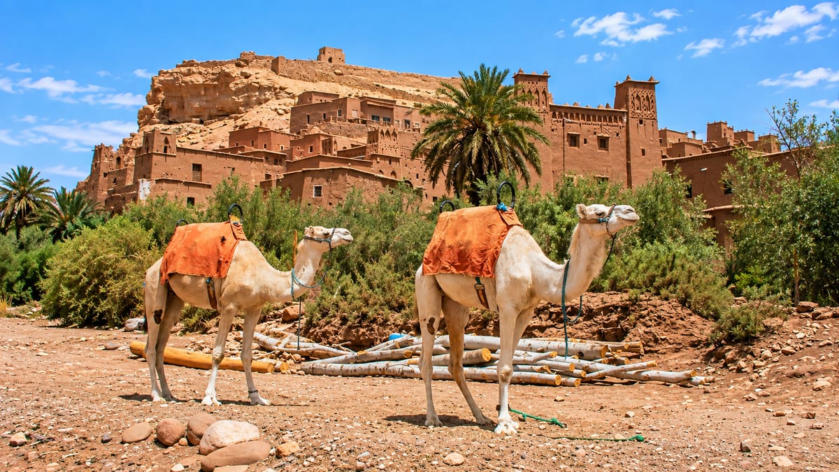 Von Marrakesch: Ganztägige Tagestour nach Ait Ben Haddou & Ouarzazate — photo 2 of 15