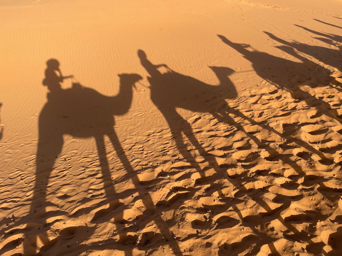 Fes: Trasferimento a Merzouga — photo 2 of 15