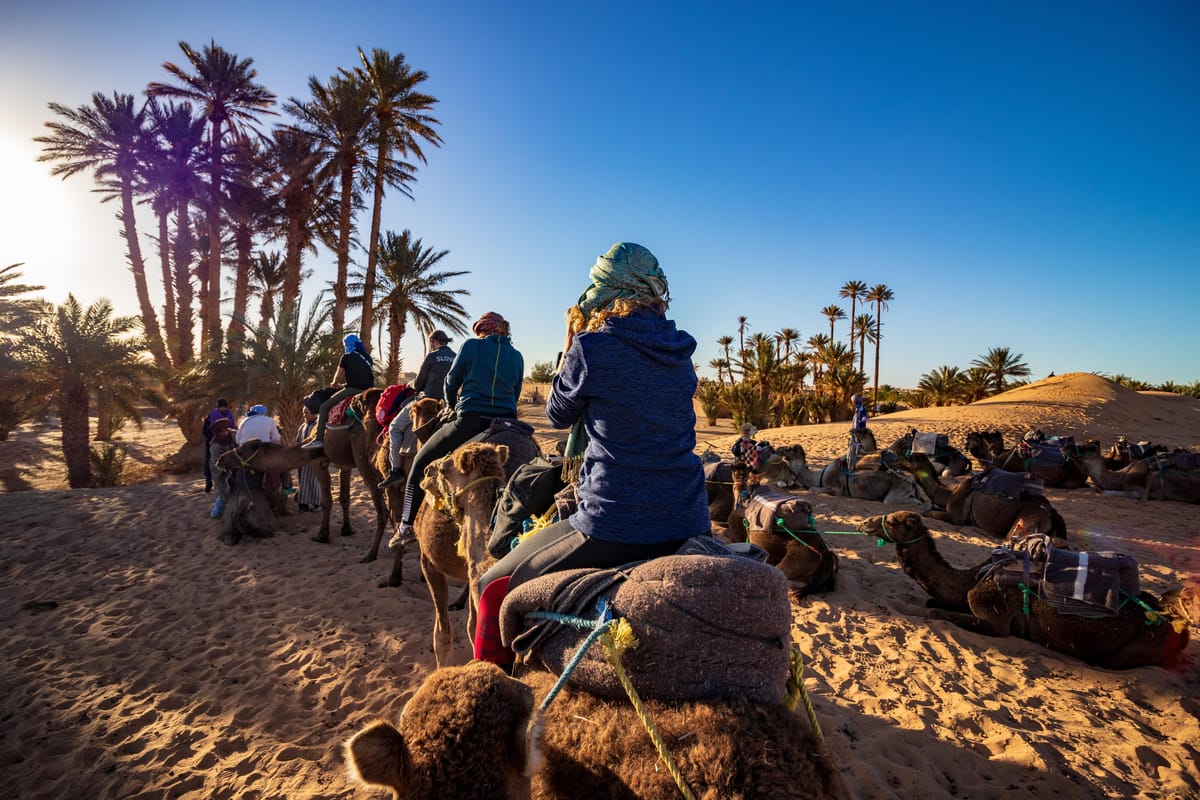 Ab Casablanca: Marrakesch mit Pferdekutsche und Kamelreiten — photo 2 of 15