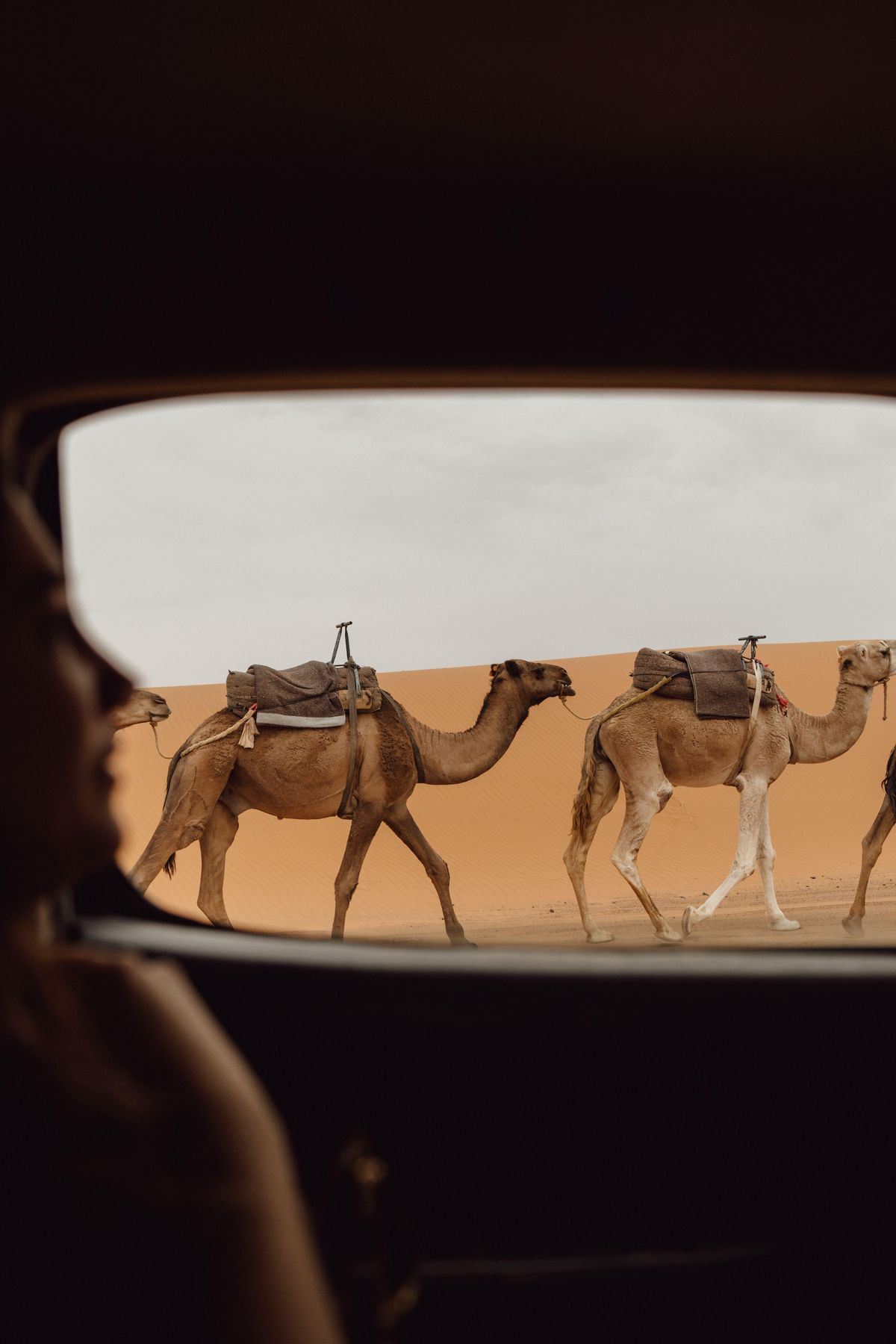 Ab Marrakesch: 3-tägige Wüsten-Tour nach Fès mit Kamelreiten — photo 2 of 4