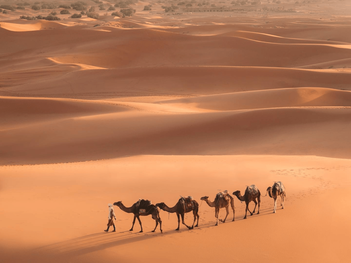 Von Marrakech aus: 3-tägige Merzouga- und Sahara-Wüstentour