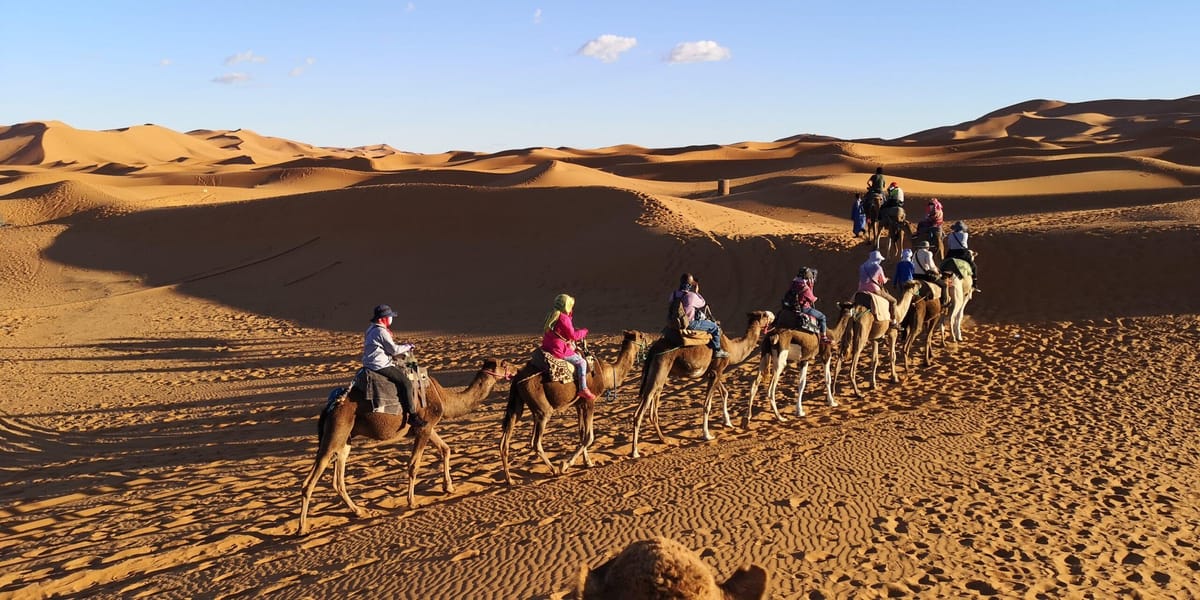 Ab Fès: 4-tägige private Wüstentour nach Merzouga und Marrakesch — photo 2 of 15