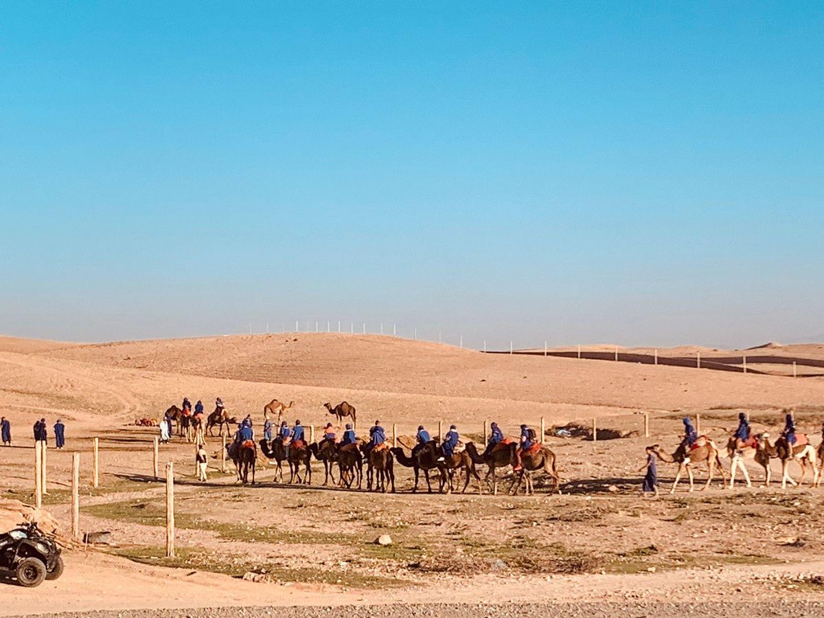 Ab Marrakesch: Agafay-Wüste – Sonnenuntergang, Kamelreiten & Abendessen — photo 2 of 15