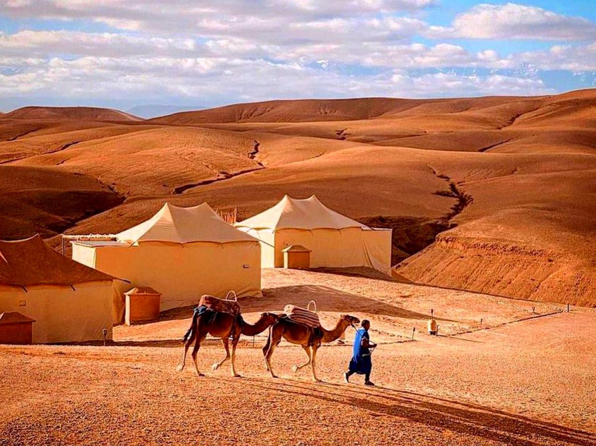 Von Marrakech aus: Abendessen in der Wüste von Agafay bei Sonnenuntergang mit Kamelritt — photo 2 of 15