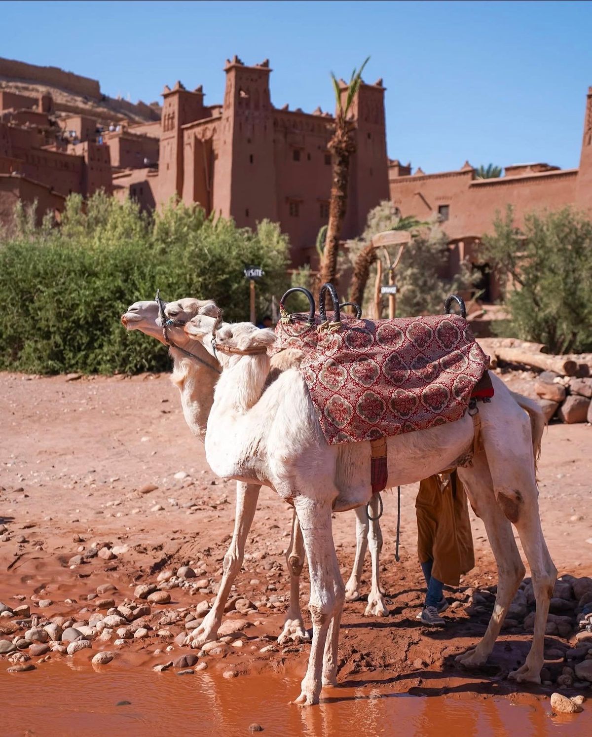 Ab Marrakesch: Tagestour nach Aït-Ben-Haddou & Ouarzazate — photo 2 of 11