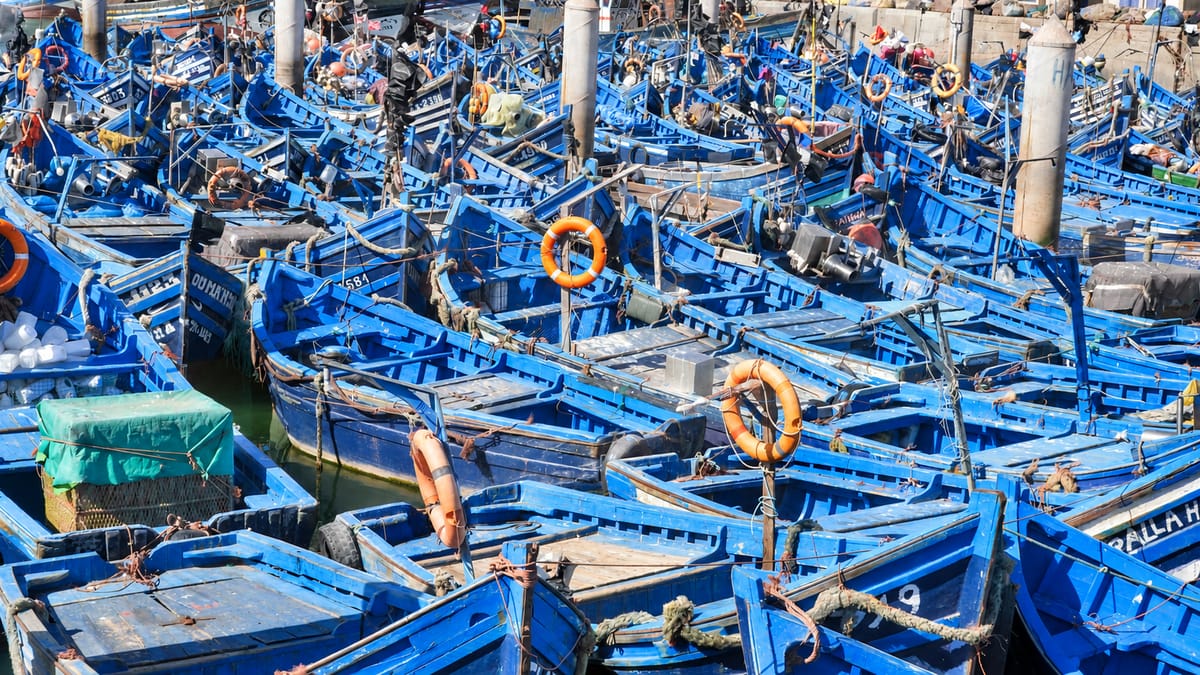 Ab Marrakesch: Tagestour nach Essaouira mit Strand und Hafen an der Küste — photo 2 of 15