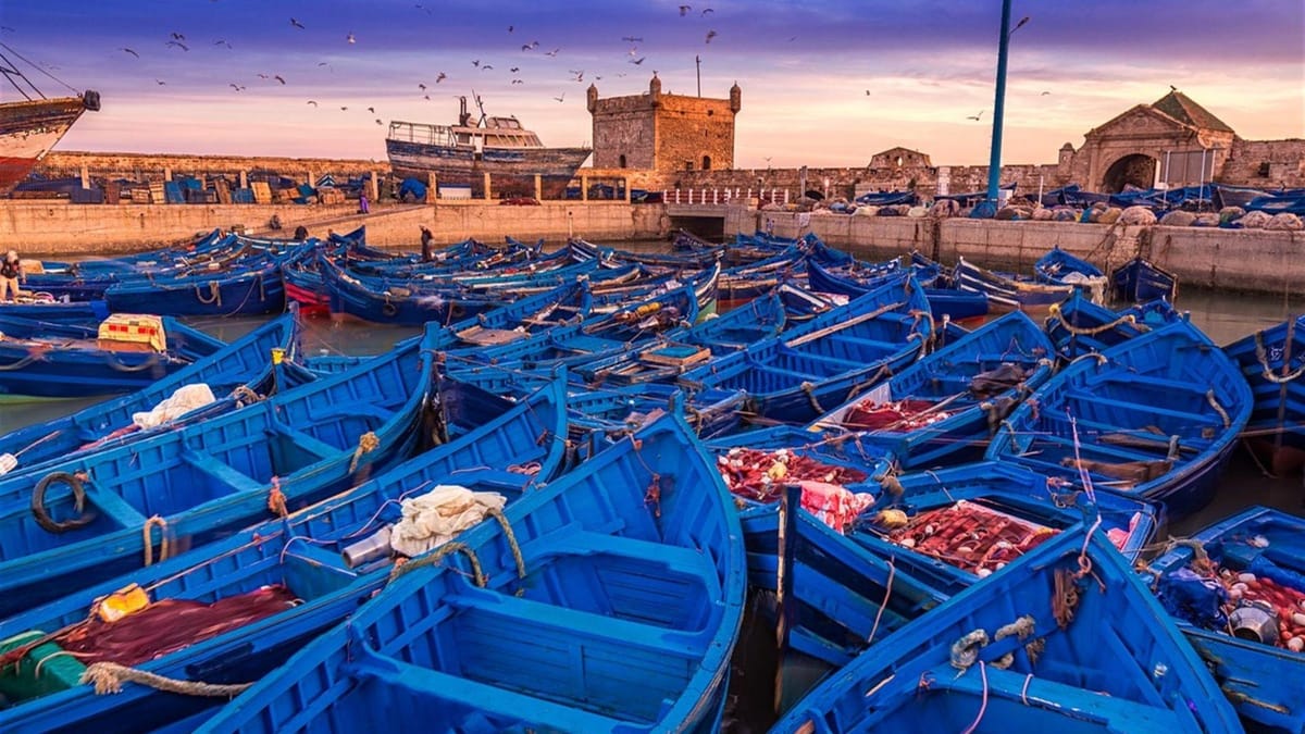 Ab Marrakesch: Tagestour nach Essaouira mit Strand und Medina — photo 1 of 15