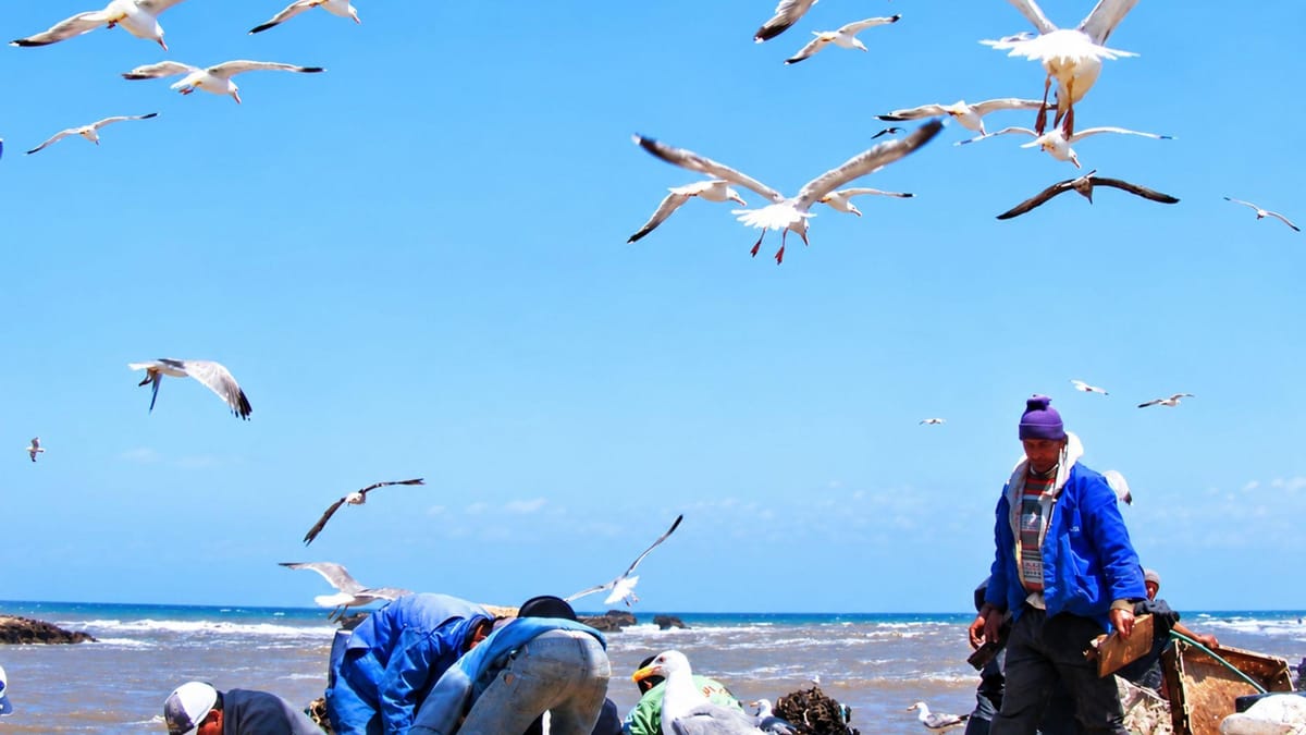 Ab Marrakesch: Tagestour nach Essaouira mit Strand und Medina — photo 2 of 15
