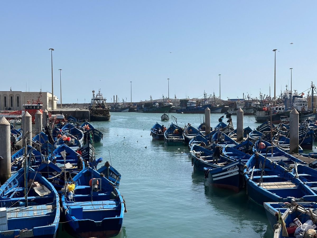 Da Marrakech: Escursione a Essaouira con cammello, cavallo e quad — photo 2 of 15
