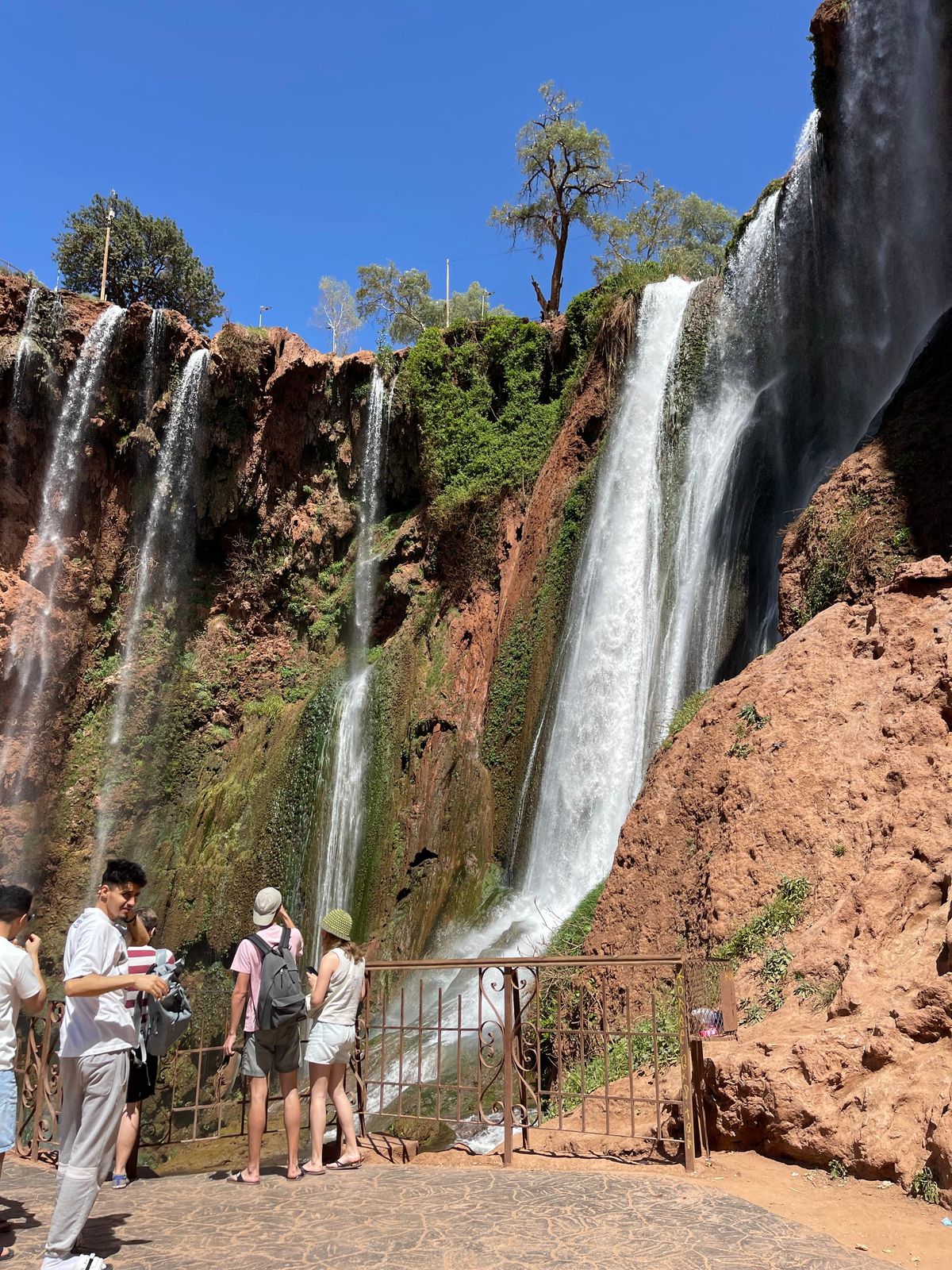 Von Marrakech aus: Exkursion Majestätische Ouzoud-Wasserfälle Tour — photo 2 of 15