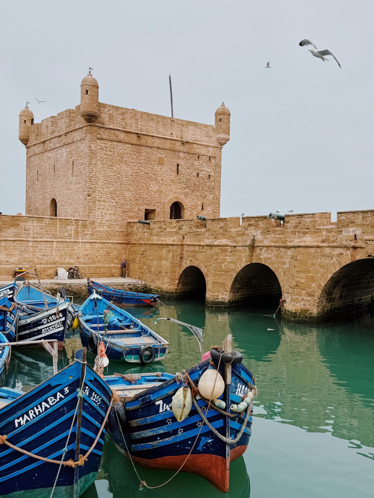 Ab Marrakesch: Tagestour an der Küste von Essaouira — photo 1 of 15