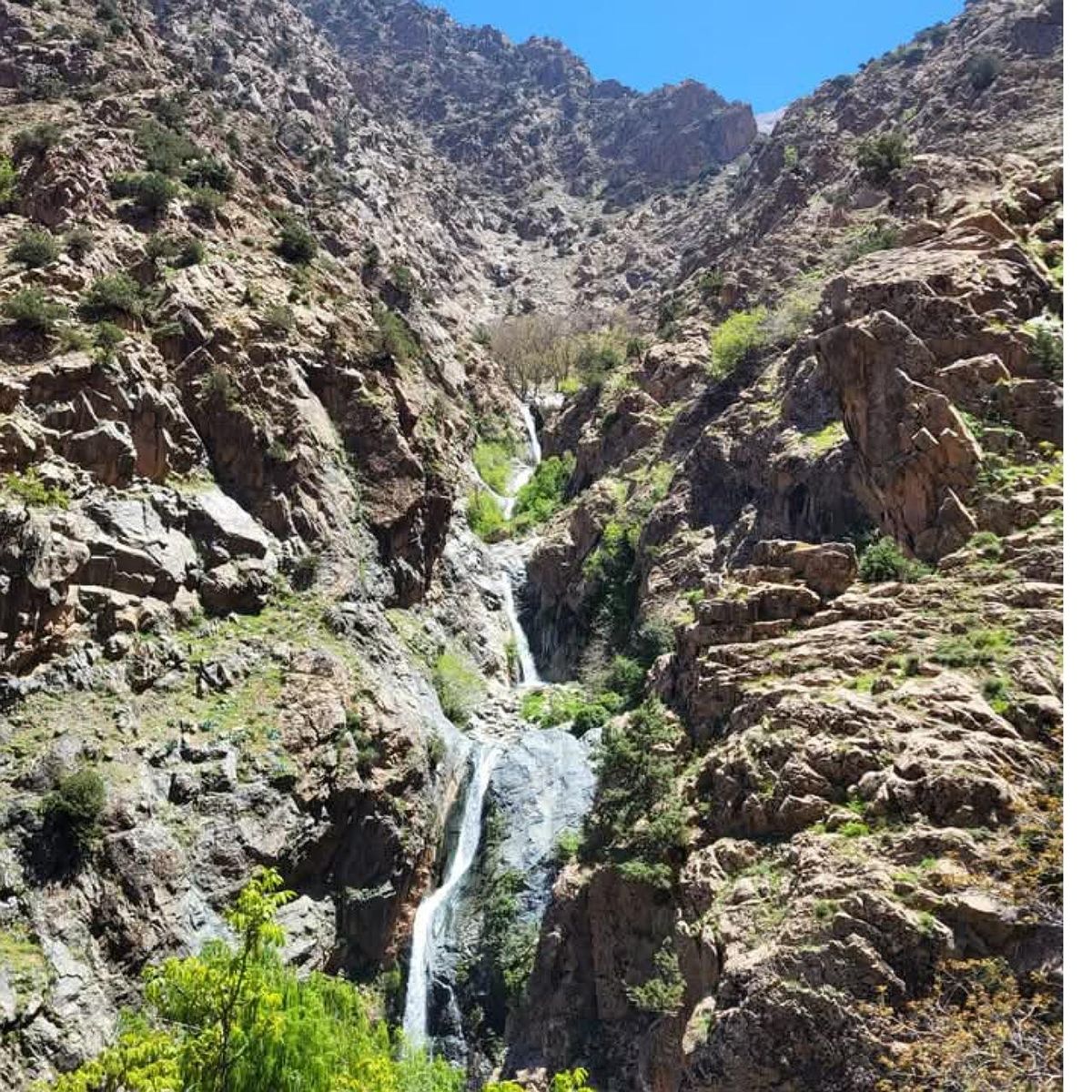 Von Marrakech aus: Halbtagestour zum Atlasgebirge & Ourika — photo 2 of 15