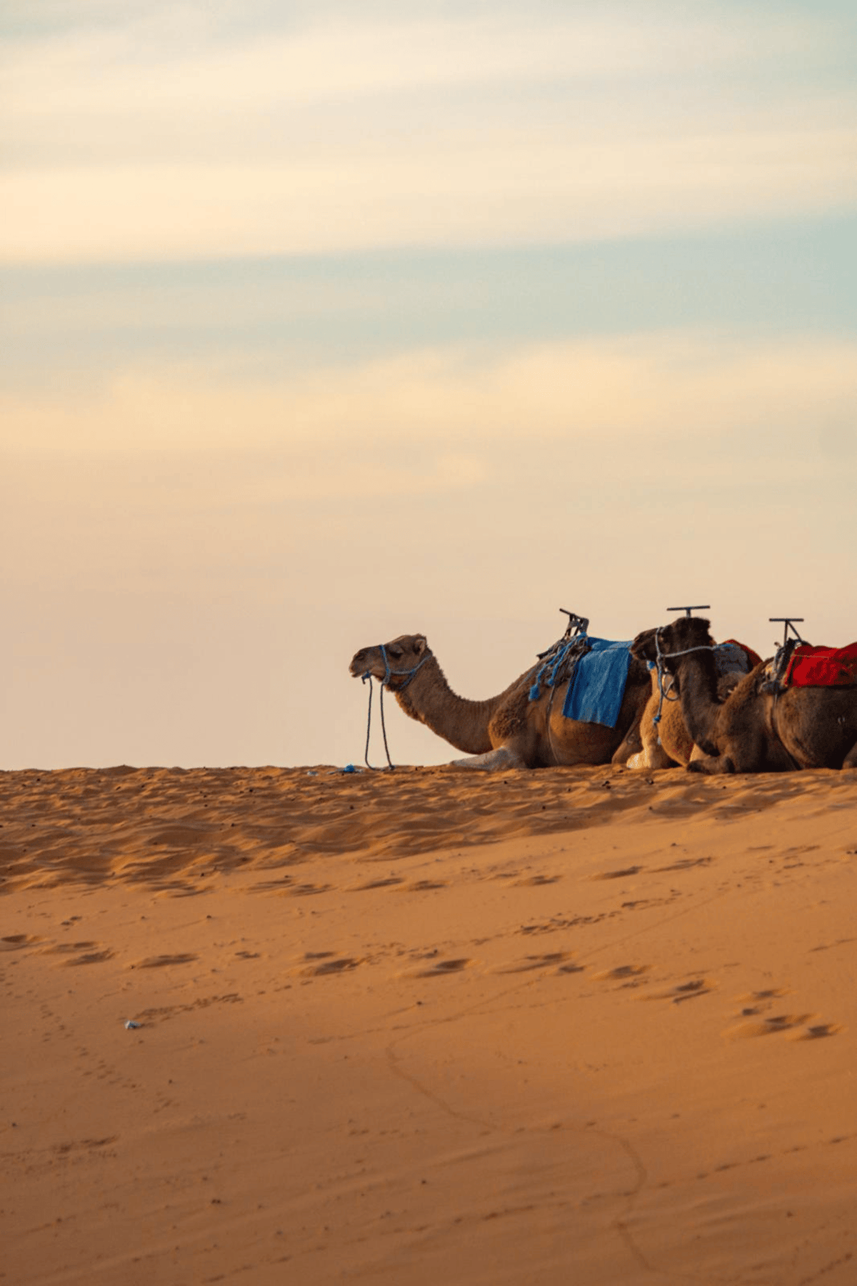 Ab Marrakesch: Merzouga – 3-Tage-Wüstensafari und Sternenbeobachtung — photo 2 of 15
