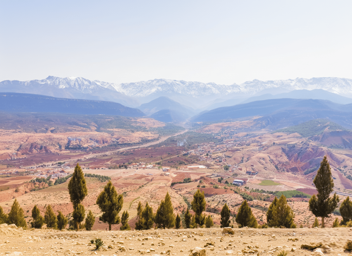 Oukaimeden e 3 Valli: tour di birdwatching da Marrakech — photo 2 of 10