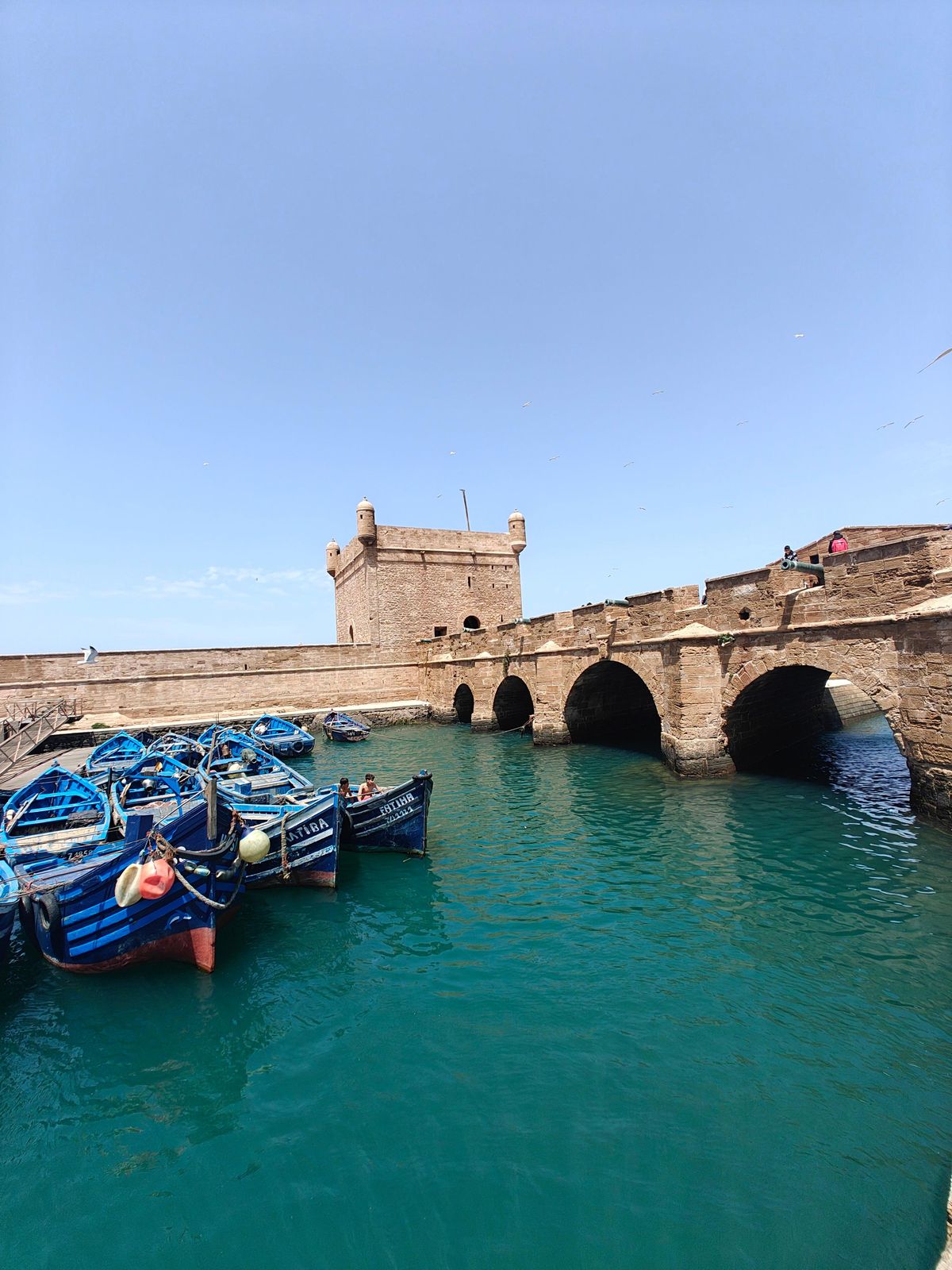 Von Marrakesch nach Essaouira Küste Tagestour — photo 2 of 12