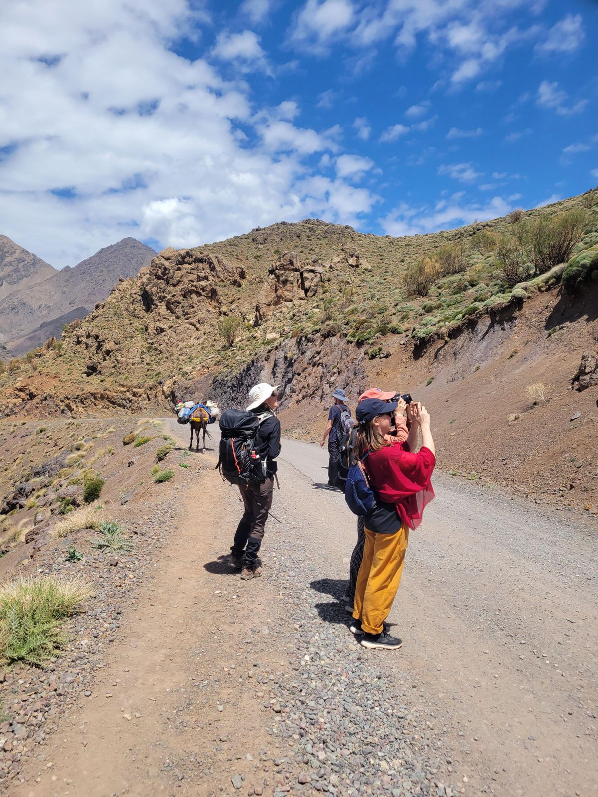 Från Marrakech: Två dagars vandring i MT Toubkal — photo 2 of 15
