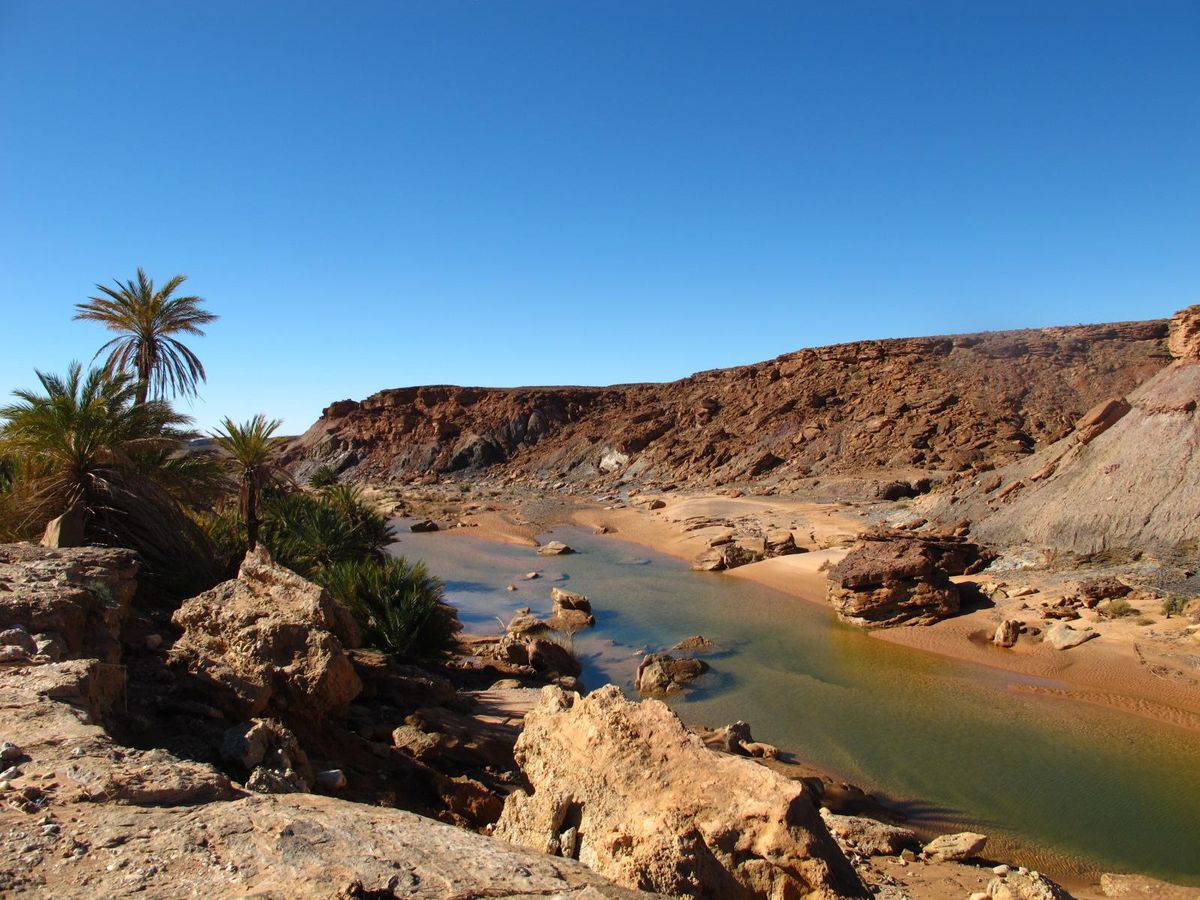 Ab Merzouga: Tagestour zur Wüstenoase Safsaf — photo 2 of 7