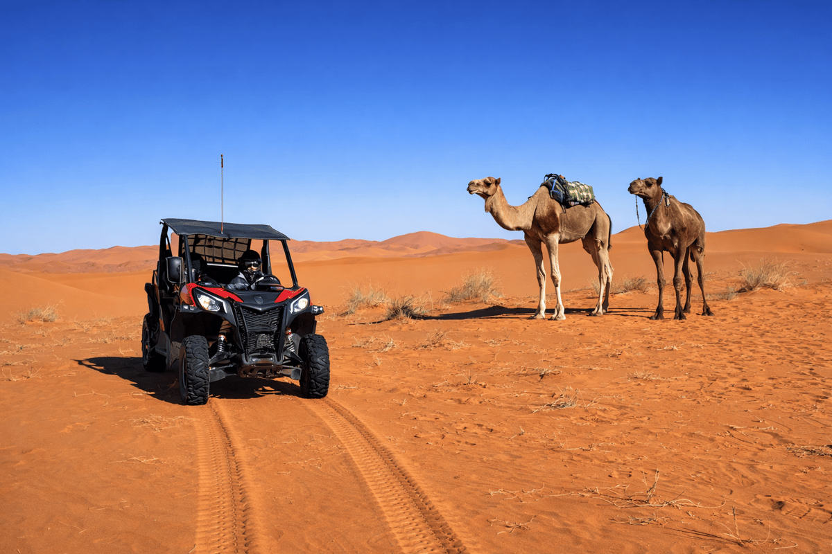 Ab Merzouga: Buggy-Abenteuer in der Sahara & Sandboarding-Erlebnis — photo 2 of 15
