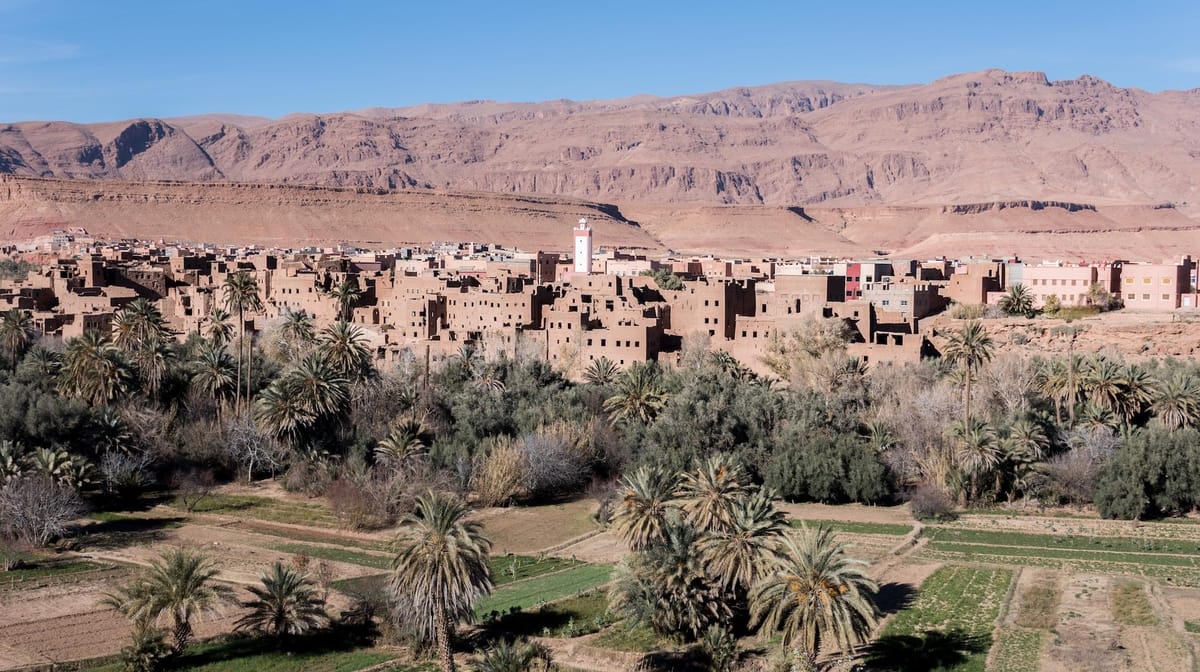 Von Ouarzazate aus: Todra-Schluchten und 1000 Kasbahs Road Day Tour — photo 2 of 11