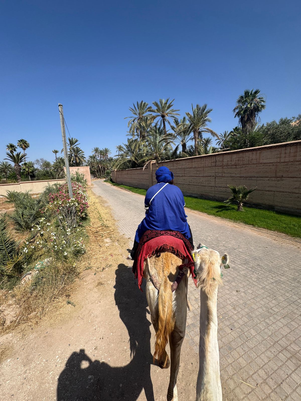 Marrakech: Halbtägige Dünenfahrt mit Buggy und Kamelritt — photo 2 of 9