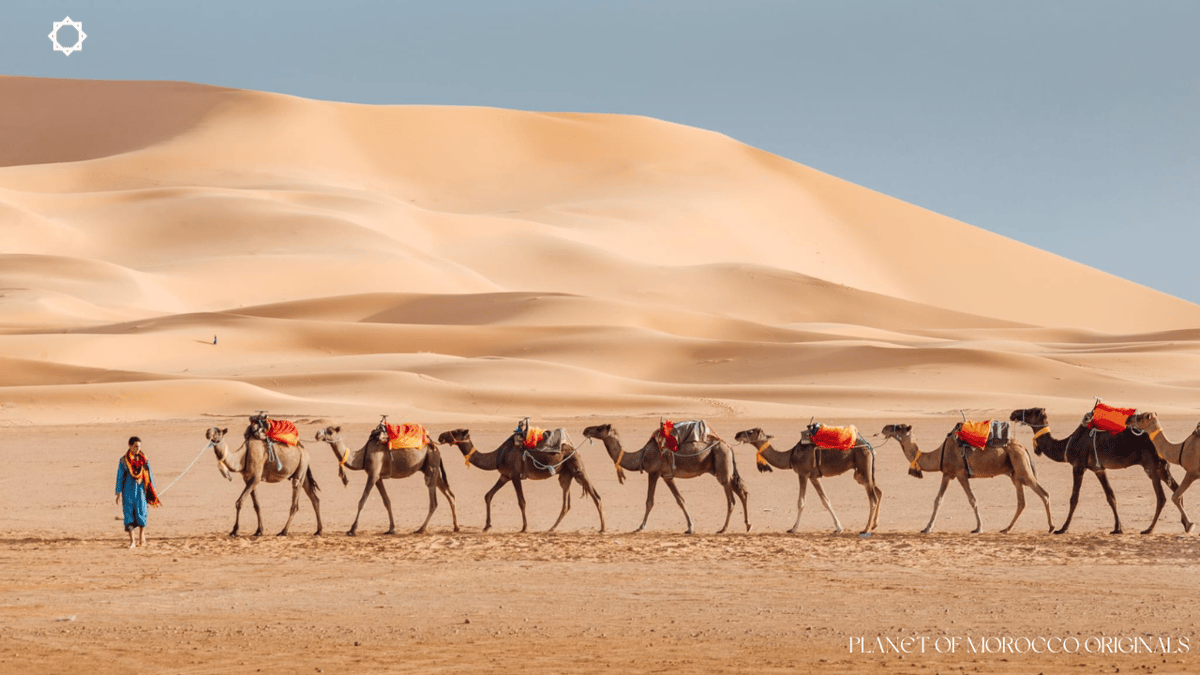 Luxuriöse 3-tägige Tagestour durch die Wüste von Marrakesch nach Fes — photo 2 of 8