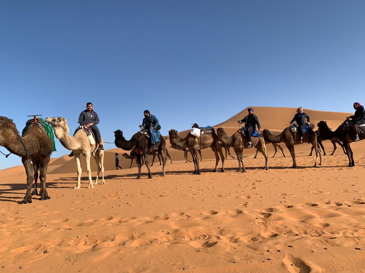 Luxuriöse private Casablanca Desert Tours 9 Tage — photo 2 of 15