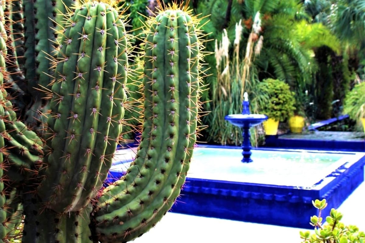 Marrakech: Majorelle-Garten, Tickets für Museen und Audioguide — photo 2 of 15
