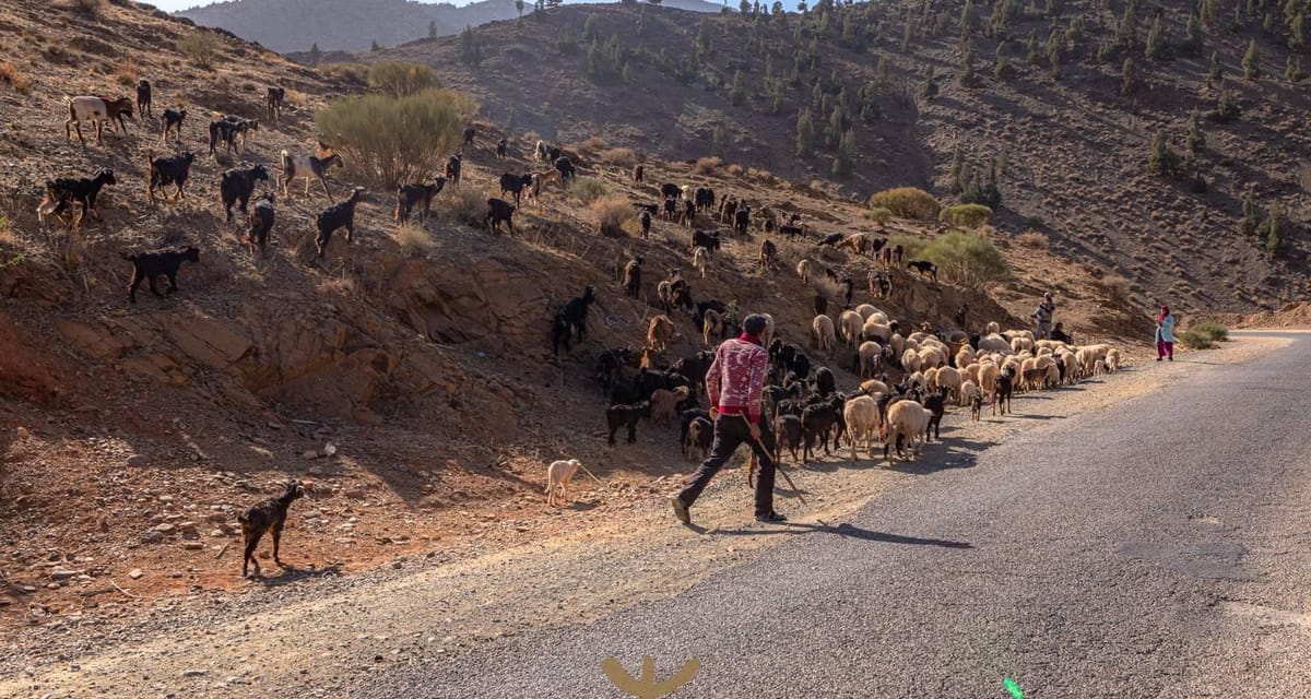 Marrakesh: 2-dagers fottur i Atlasfjellene til Imlil og Imnan-dalen — photo 2 of 15