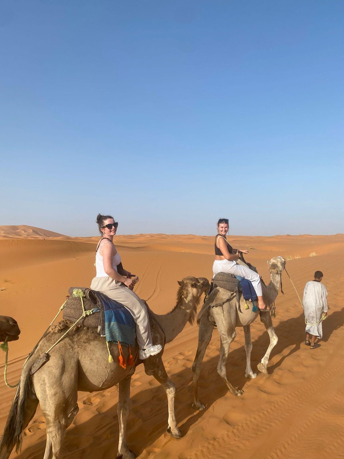 Marrakesch: Luxus-Auszeit auf dem Bauernhof mit Kamel, Pool und Zeltübernachtung — photo 2 of 15