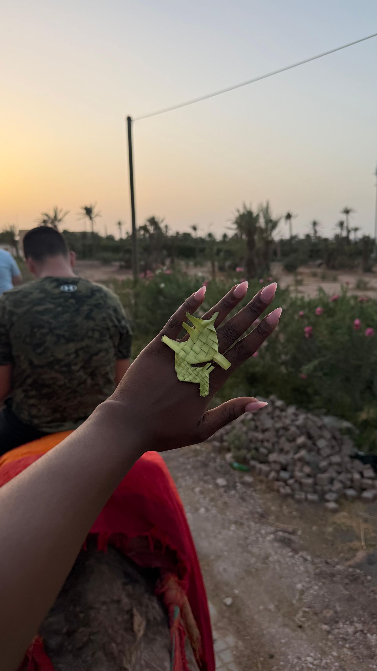Palmeraie di Marrakech: giro in cammello al tramonto — photo 2 of 15