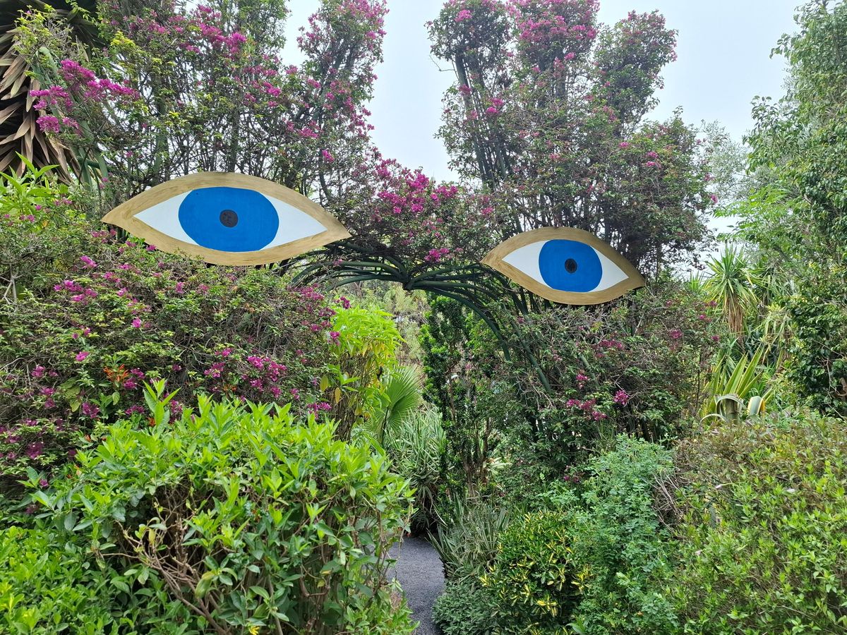 Marrakech Tour Gärten Majorelle, Menara & Anima Gärten — photo 2 of 15