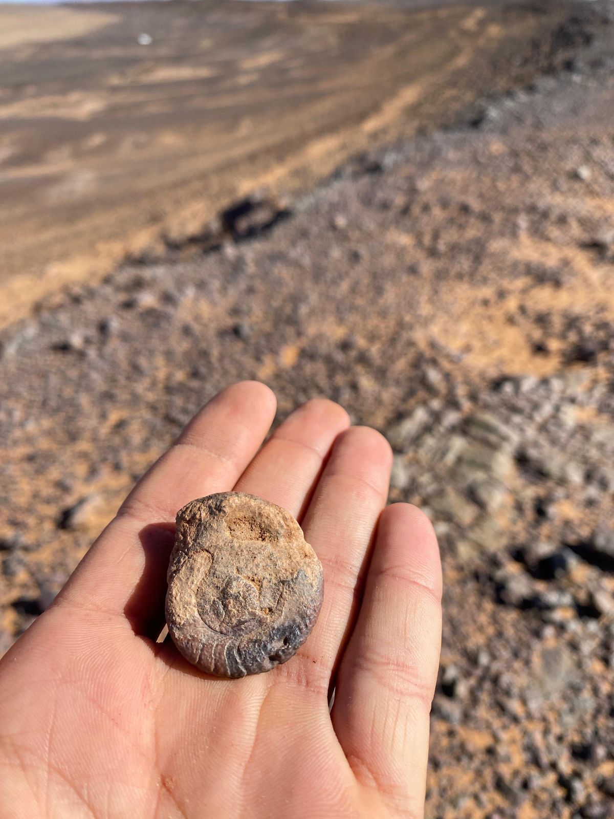 Merzouga: Safari im Geländewagen, Besuch bei Nomaden, Sanddünen & Fossiliengebiet — photo 2 of 5