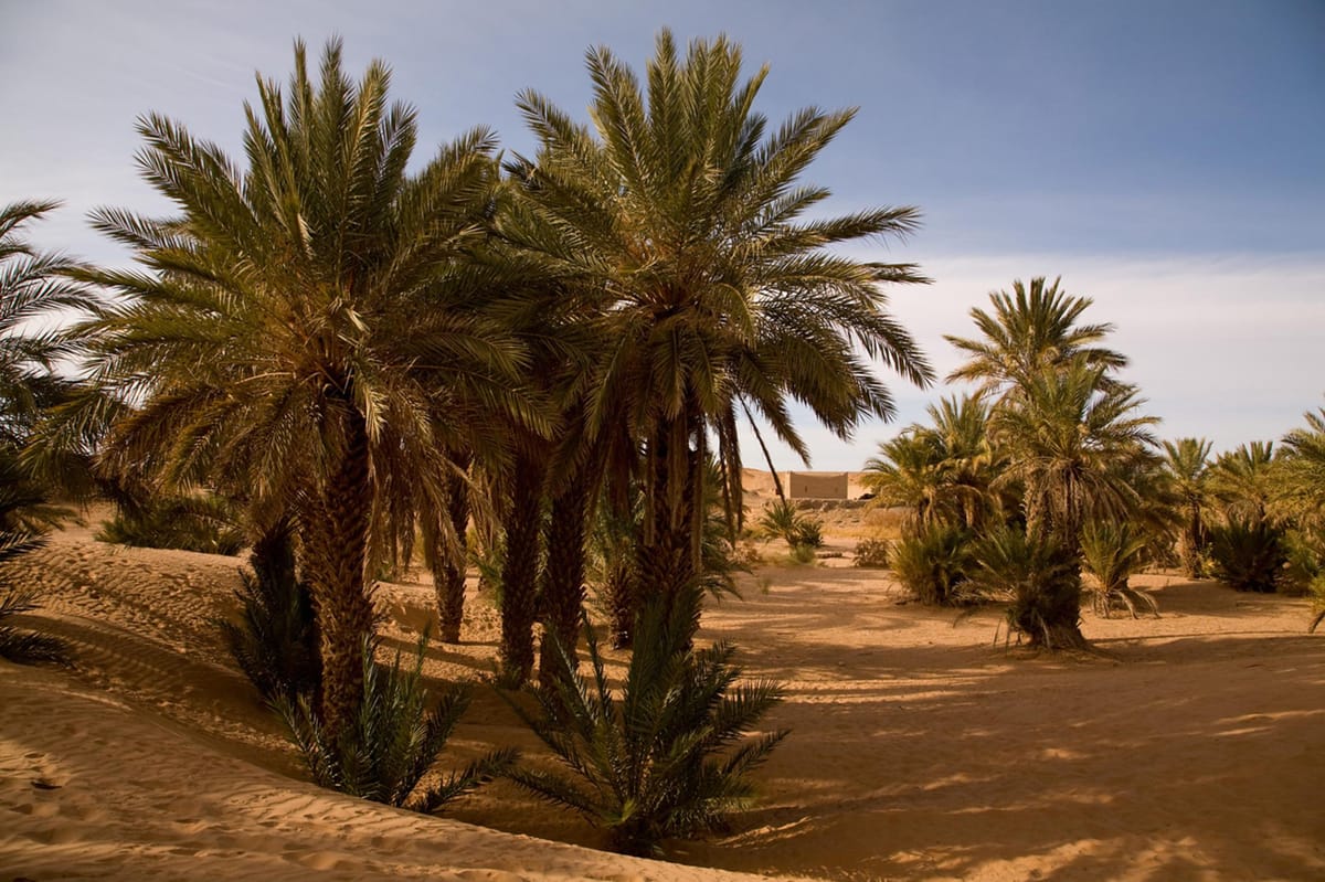 Merzouga: Kamelreiten und Übernachtung in einem Wüstencamp — photo 2 of 8